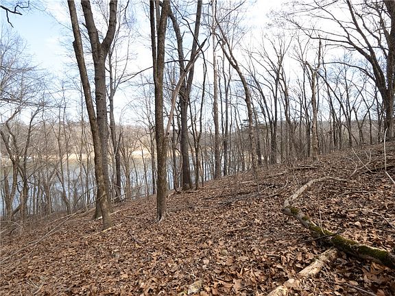 4th image of Hilton Road Springdale