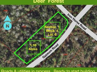 127 Gypsum Rd LOT 6, New Waverly, TX 77358