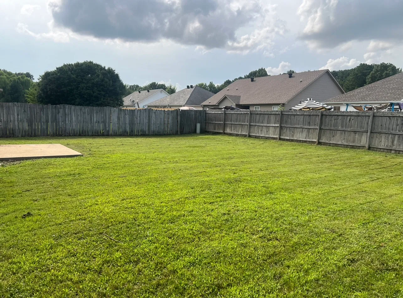 3 bed, 1300 sqft, $1,750 — Photo 4