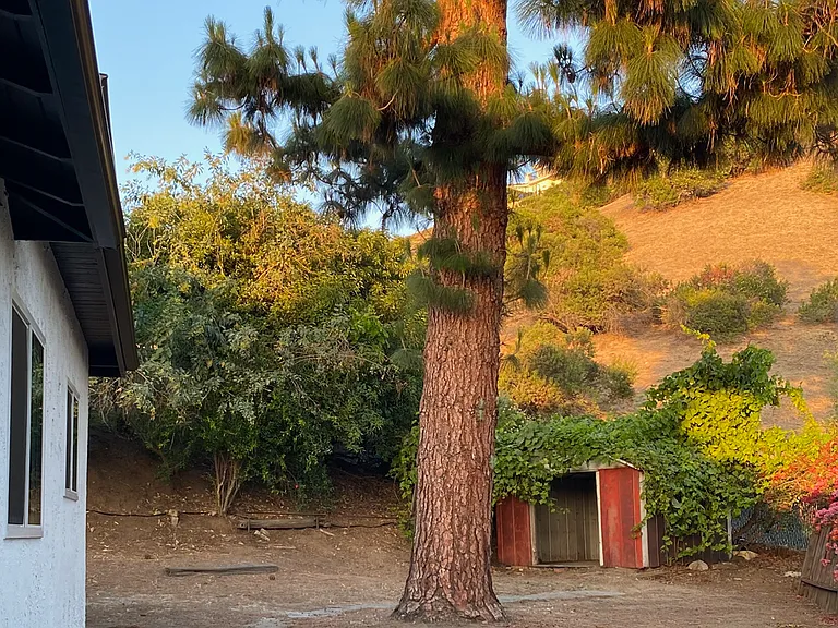 Yard