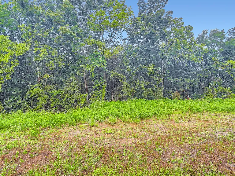 1157 Alcove Way — Photo 25