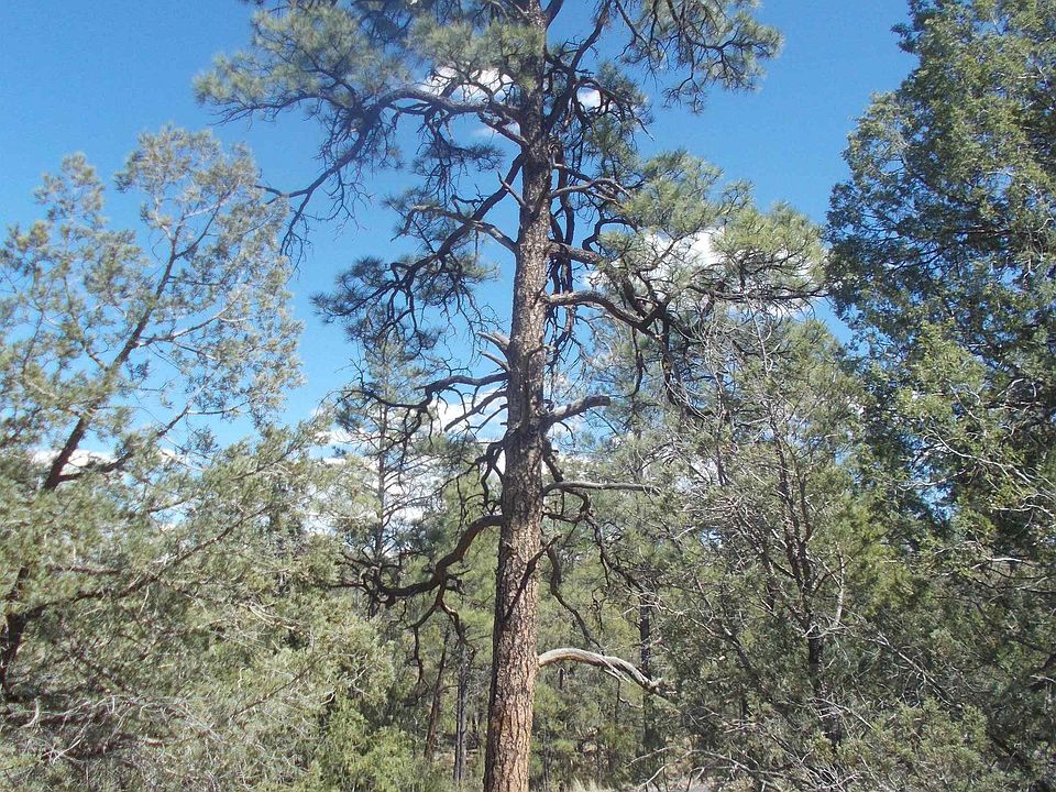 2nd image of LOT 2a Highway 15 Hls