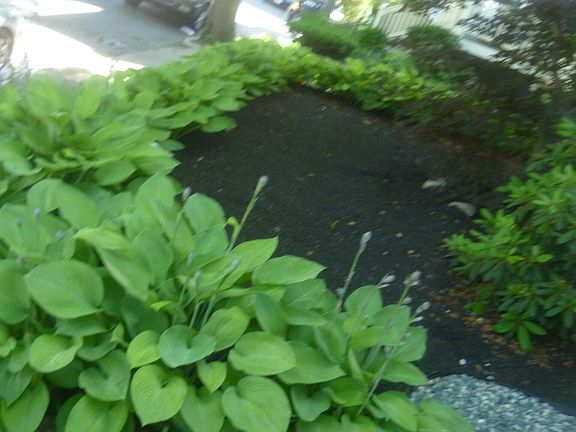 landlord_building_photo_56776037_3