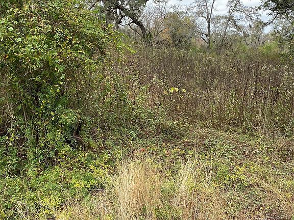4th image of 19288 County Road 319