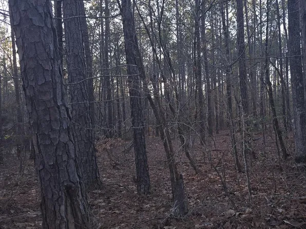 0 Dorsey Dr, Hamilton, GA 31811