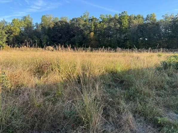 LOT 113 SE Pheasant Ln, Moultrie, GA 31778