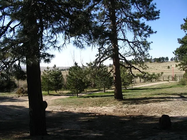 19955 Warriors Path Dr — Photo 6