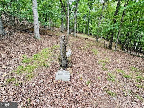 3rd image of LOT 2 Pepper Ln