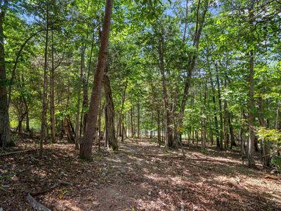 1941 Plank Dr, Blacksburg, VA, 24060