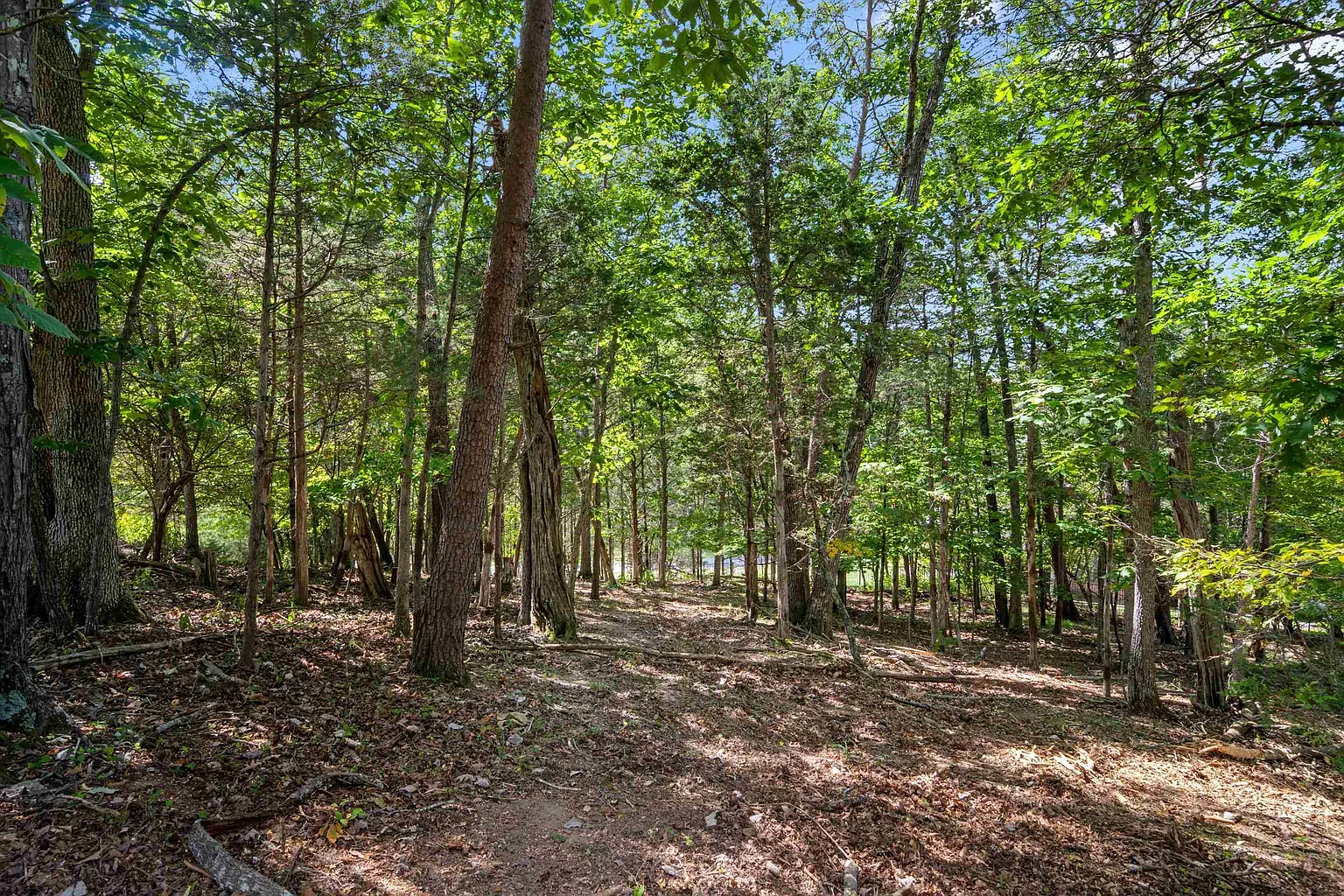 1941 Plank Dr photo 1