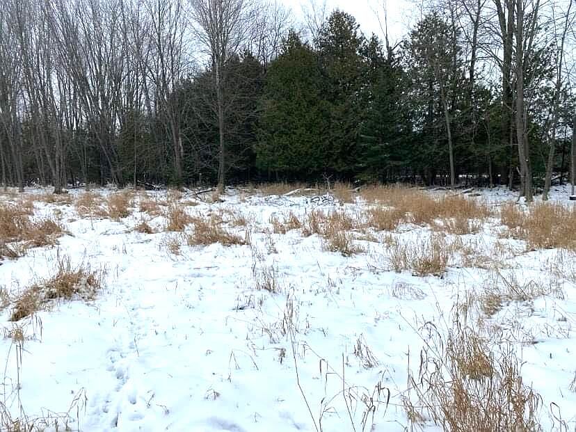 Keeling Rd, Posen, MI 49776 Zillow