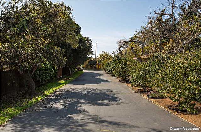 Exterior Front: Driveway
