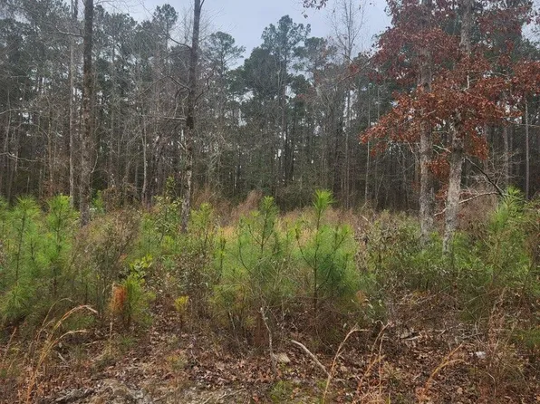 2508 Wild Turkey Road, New Bern, NC 28562