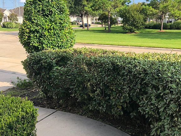 5th image of 19910 Braecove Cir