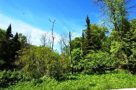 5th image of 4157 Glidden Dr
