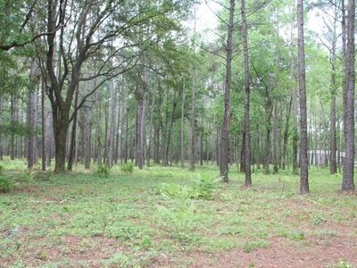 0 Kilpatrick Rd, Callahan, FL, 32011