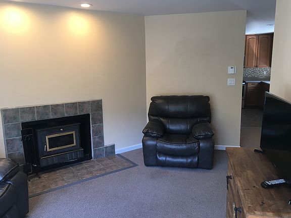 Wood burning insert stove