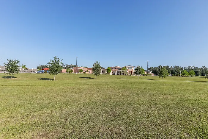23011 Black Mountain Ash Ct — Photo 21