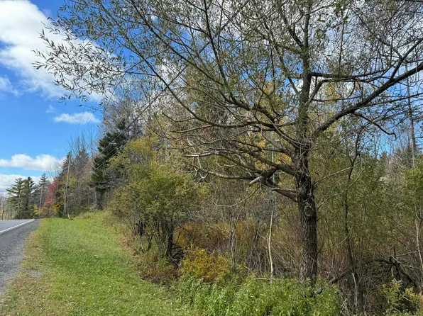 298 Dover Hill Road, Dover, VT 05356