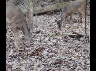 21.6 Holly Ave SE #0, Attalla, AL 35954