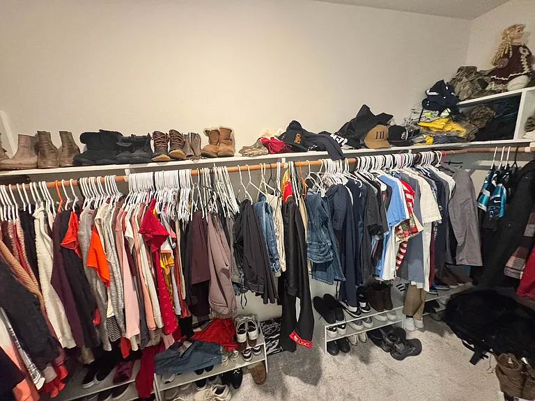 Primary Closet