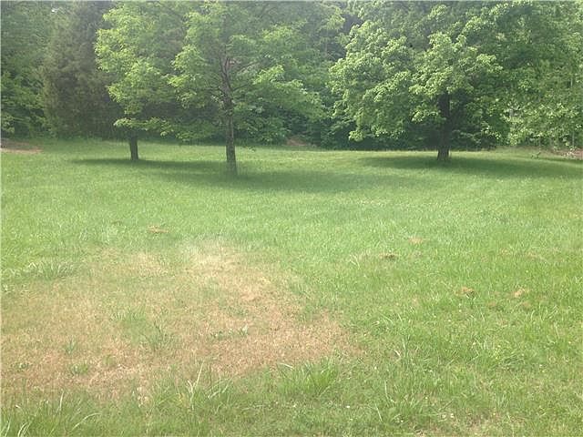 2nd image of 456 Campbell Ridge Rd Lot 456