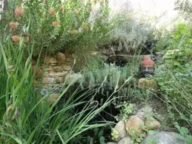 NW side yard 
Waterfall & pond