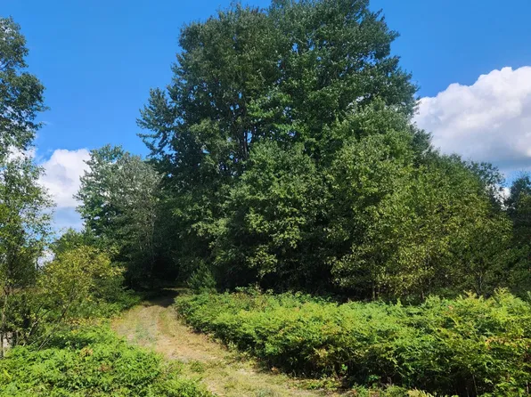 21616 Thirteen Mile Rd, Leroy, MI 49655