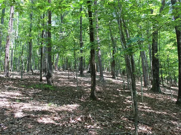 0 Denny Ridge Rd #4568, Jasper, GA 30143