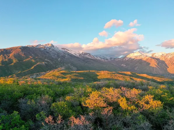 15211 S Tall Woods Dr, Draper, UT 84020