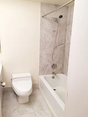 Rented by Furumoto Realty of New York City Inc | media 6
