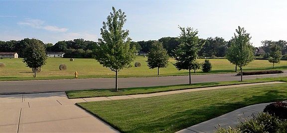2nd image of 13738 W Stonebridge Woods Xing