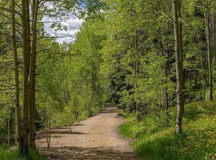6 N Delores River Trl, Rico, CO 81332