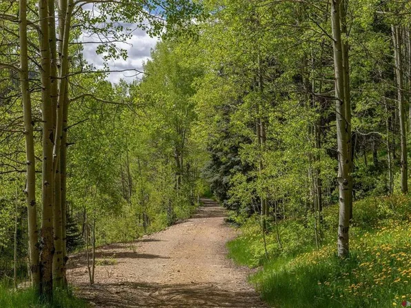 Lot 6 Dolores River Trail, Rico, CO 81332