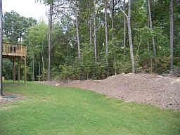 Great level back yard for play