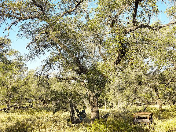 3rd image of 000 County Road 777