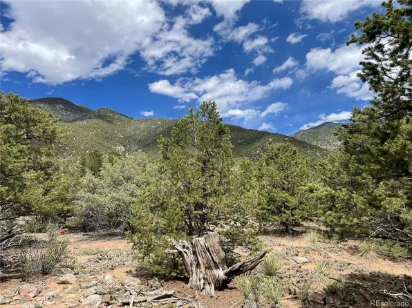 4286 Fallen Tree, Crestone, CO 81131