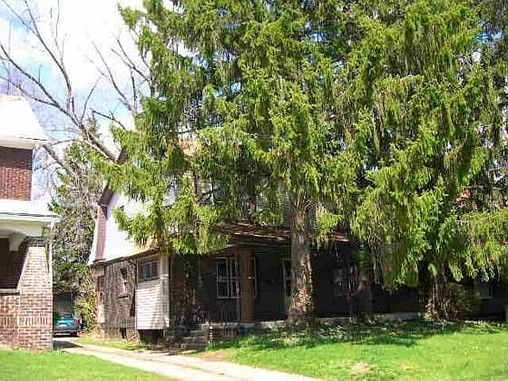 1st image of 445 Catalina Ave