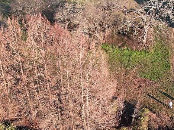 4th image of 64 Shore Crest Way