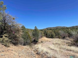 Sanctuary Rd, Silver City, NM 88061
