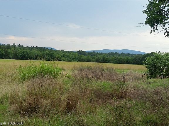 3rd image of 2918 Thomas Ln