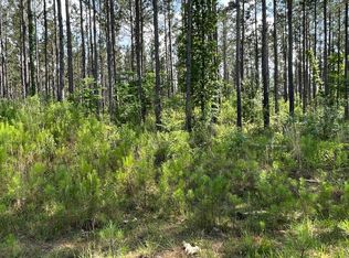 Coal Bluff Rd, Lena, MS 39094