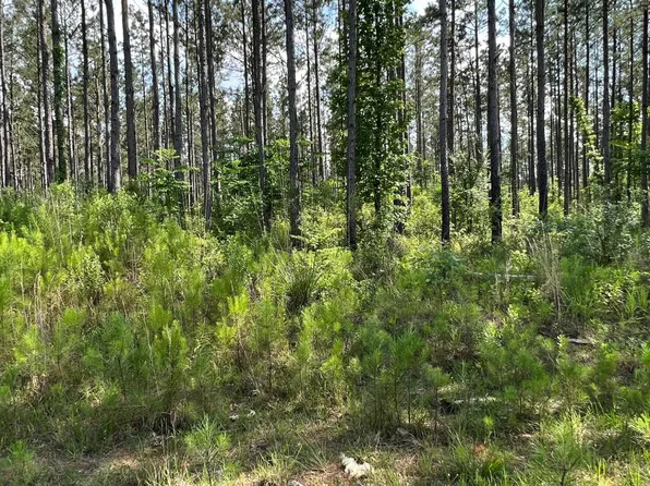 Coal Bluff Rd, Lena, MS 39094