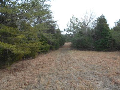 0 Bratcher Ln, Caneyville, KY, 42721
