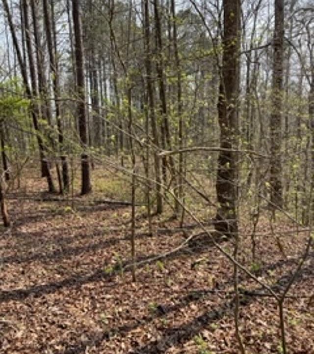 2nd image of 0 Twin Ridge Dr #1