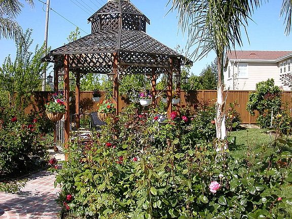 Backyard Gazebo