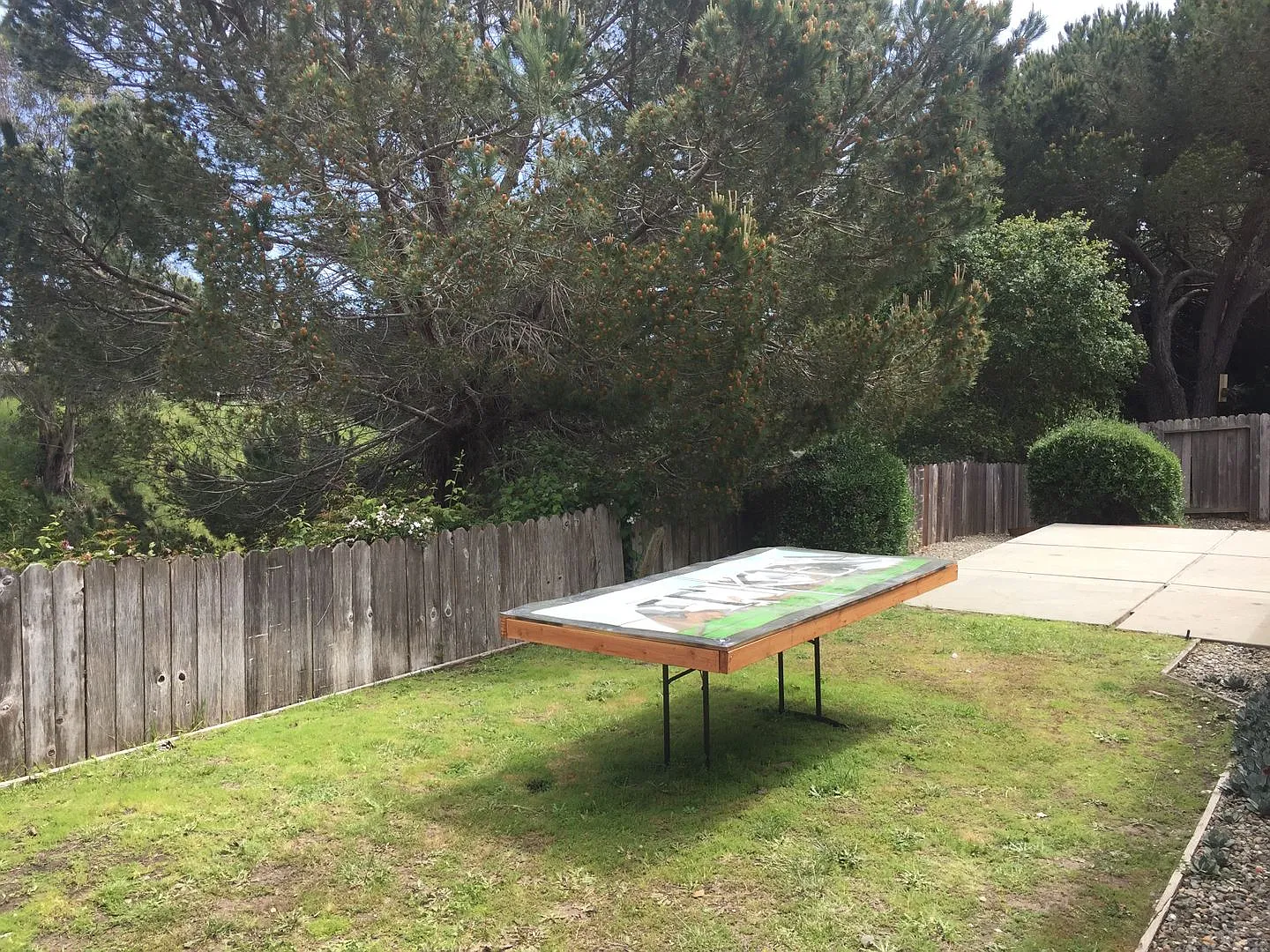Sunny 5 Bedroom 3 Bath walk to UC — Photo 2