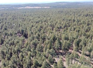 41 McGaffey Pnes, Fort Wingate, NM 87316