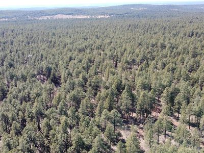 41 McGaffey Pnes, Fort Wingate, NM, 87316
