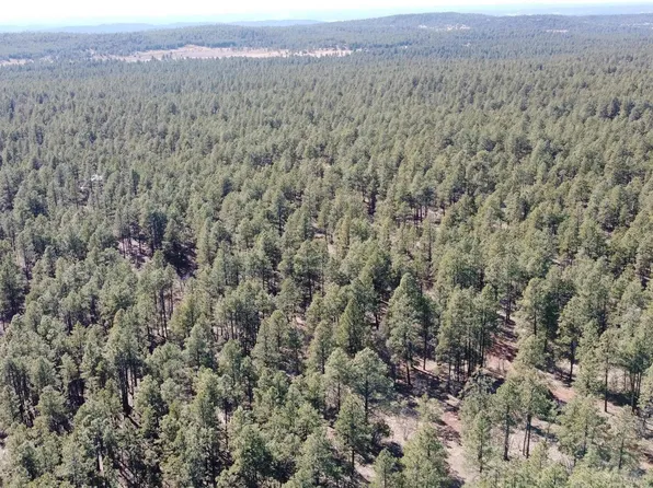 41 McGaffey Pnes, Fort Wingate, NM 87316